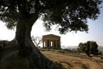 tempio della concordia