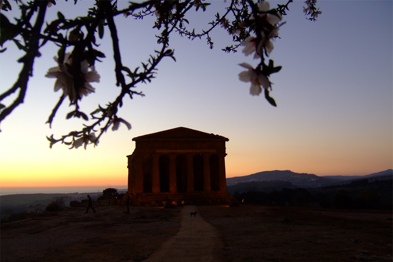 tempio della concordia
