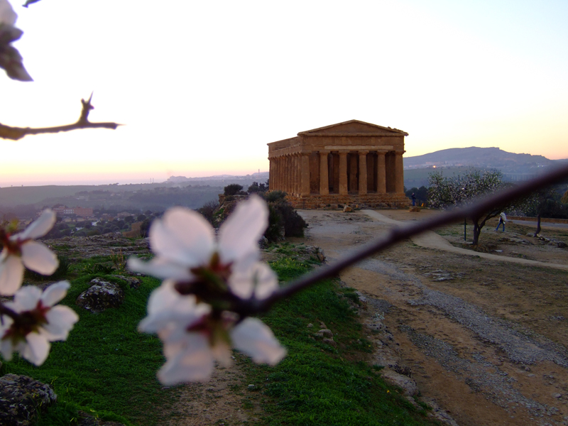tempio della concordia
