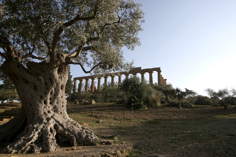 tempio di giunone
