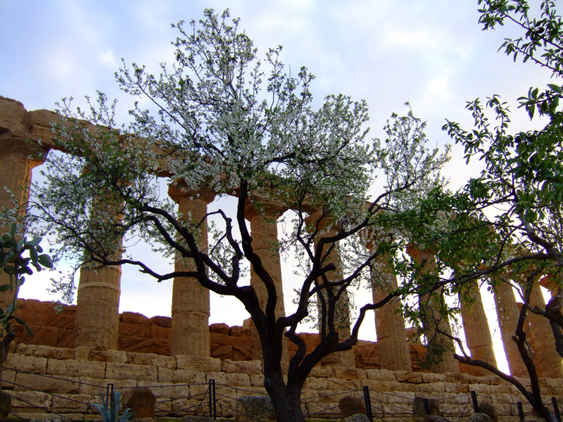 tempio di giunone