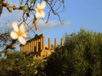 tempio di giunone