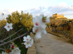 tempio di giunone